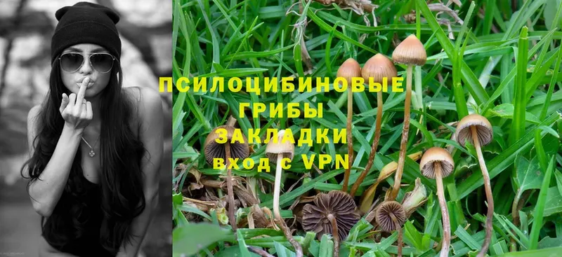 Галлюциногенные грибы MAGIC MUSHROOMS  даркнет сайт  Амурск 